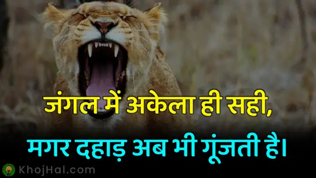 akela shero shayari,अकेला शेरो शायरी,shero shayari in hindi, शेरो शायरी हिंदी में,